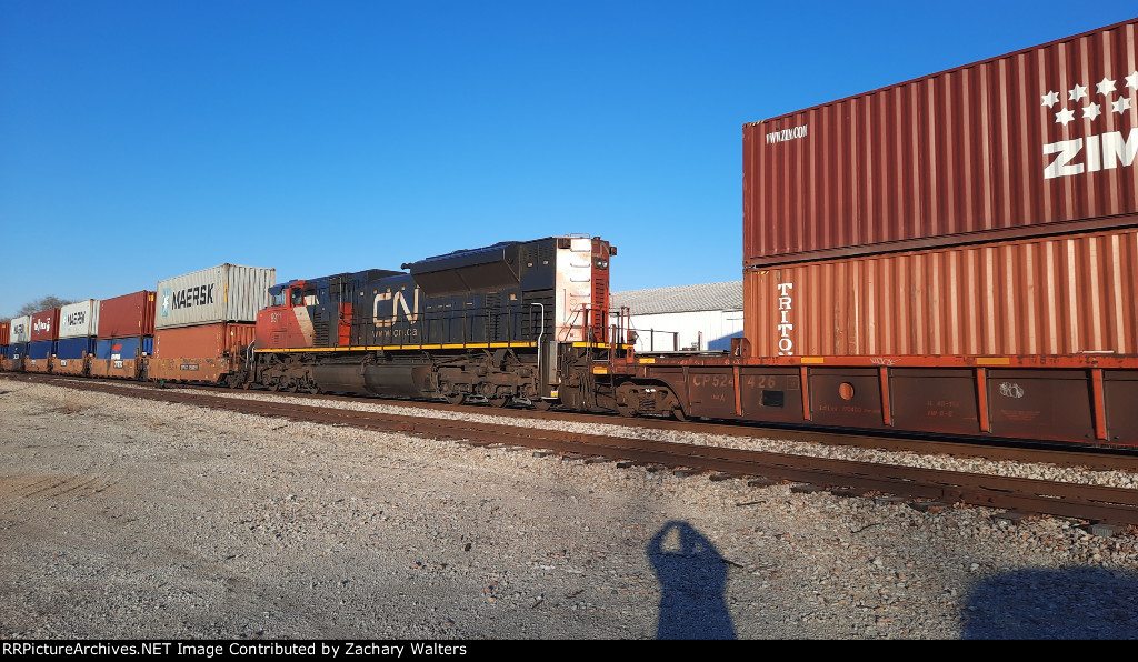 CN 8911